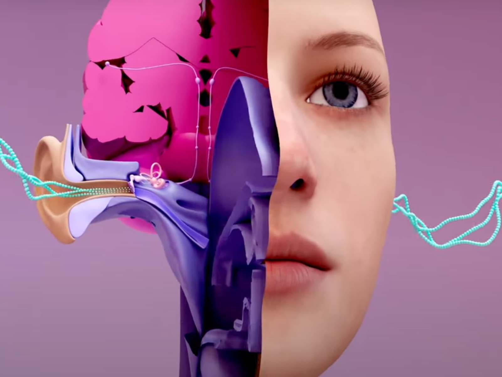 anatomy-of-the-ear-how-the-parts-work-together